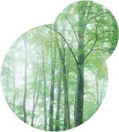 木の文化