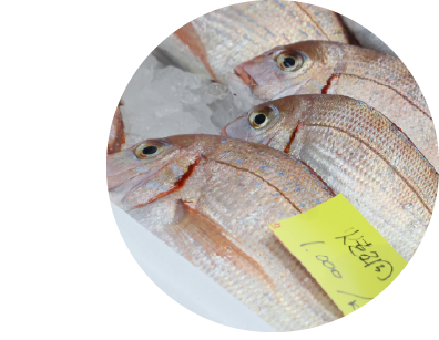 白身魚が美味しい愛知