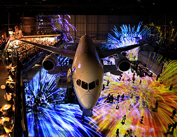 FLIGHT OF DREAMS