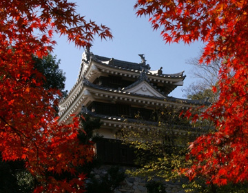 西尾城と旧近衛邸（西尾市歴史公園）
