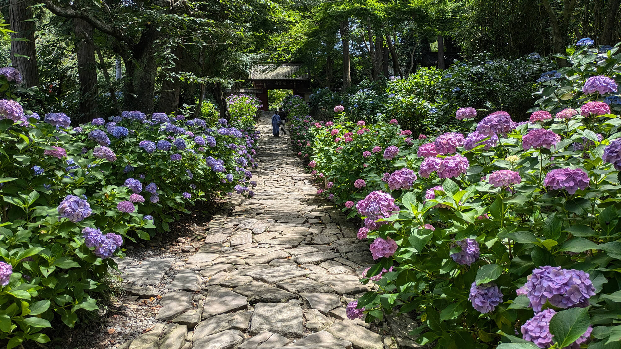 瑞雲山 本光寺