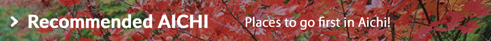 Reccomended Aichi