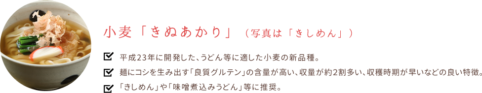 小麦「きぬあかり」