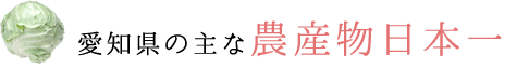 愛知県の主な農産物日本一