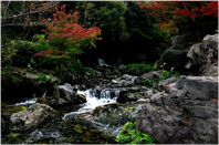 白鳥庭園