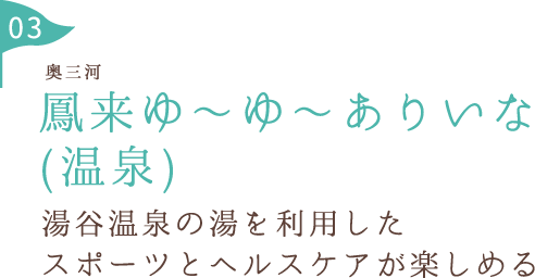 鳳来ゆ~ゆ~ありいな (温泉) 湯谷温泉の湯を利用したスポーツとヘルスケアが楽しめる