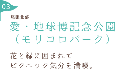 愛・地球博記念公園 (モリコロパーク) 名古屋に大須ができてから400年目を迎えた大須商店街