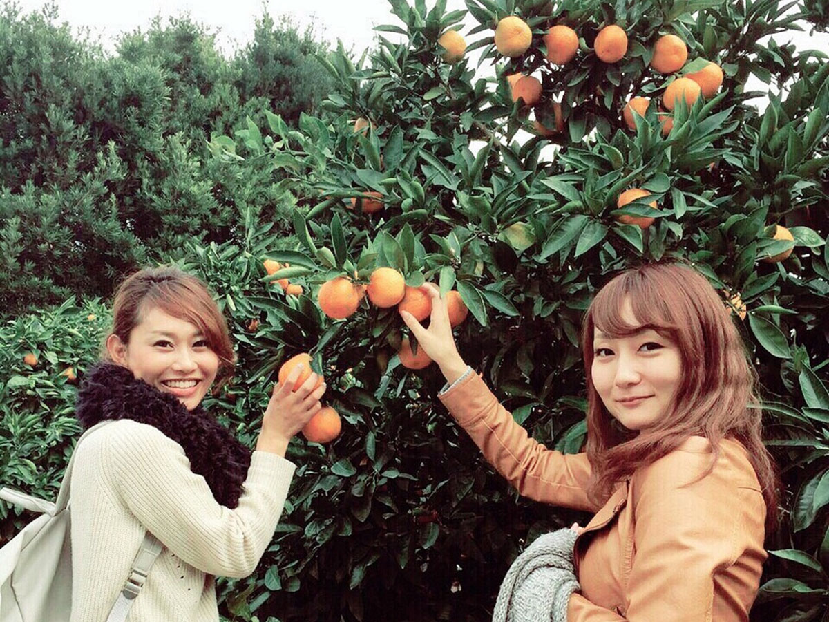 南知多グリーンバレイ