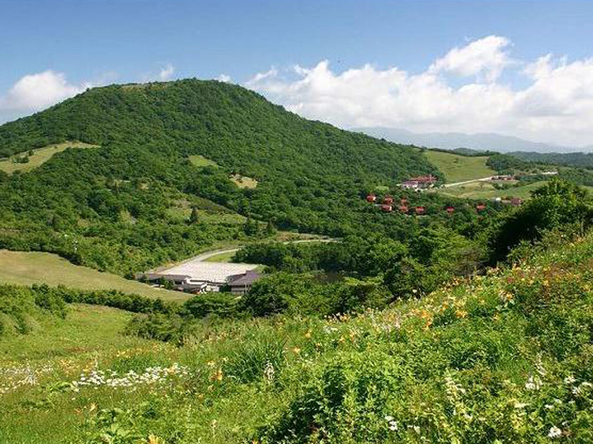 春の茶臼山高原（イベント）