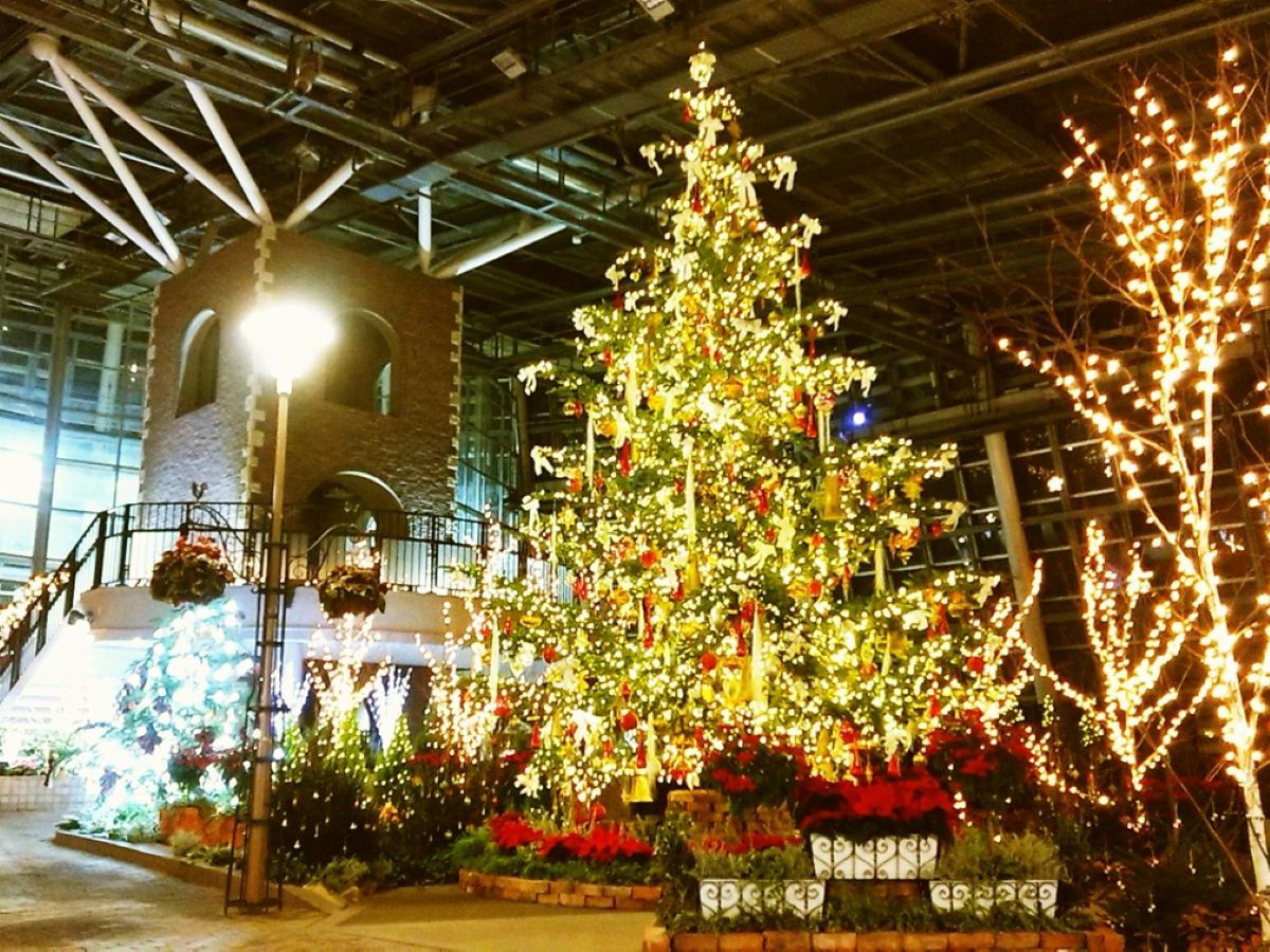 ウィンターフェスティバル