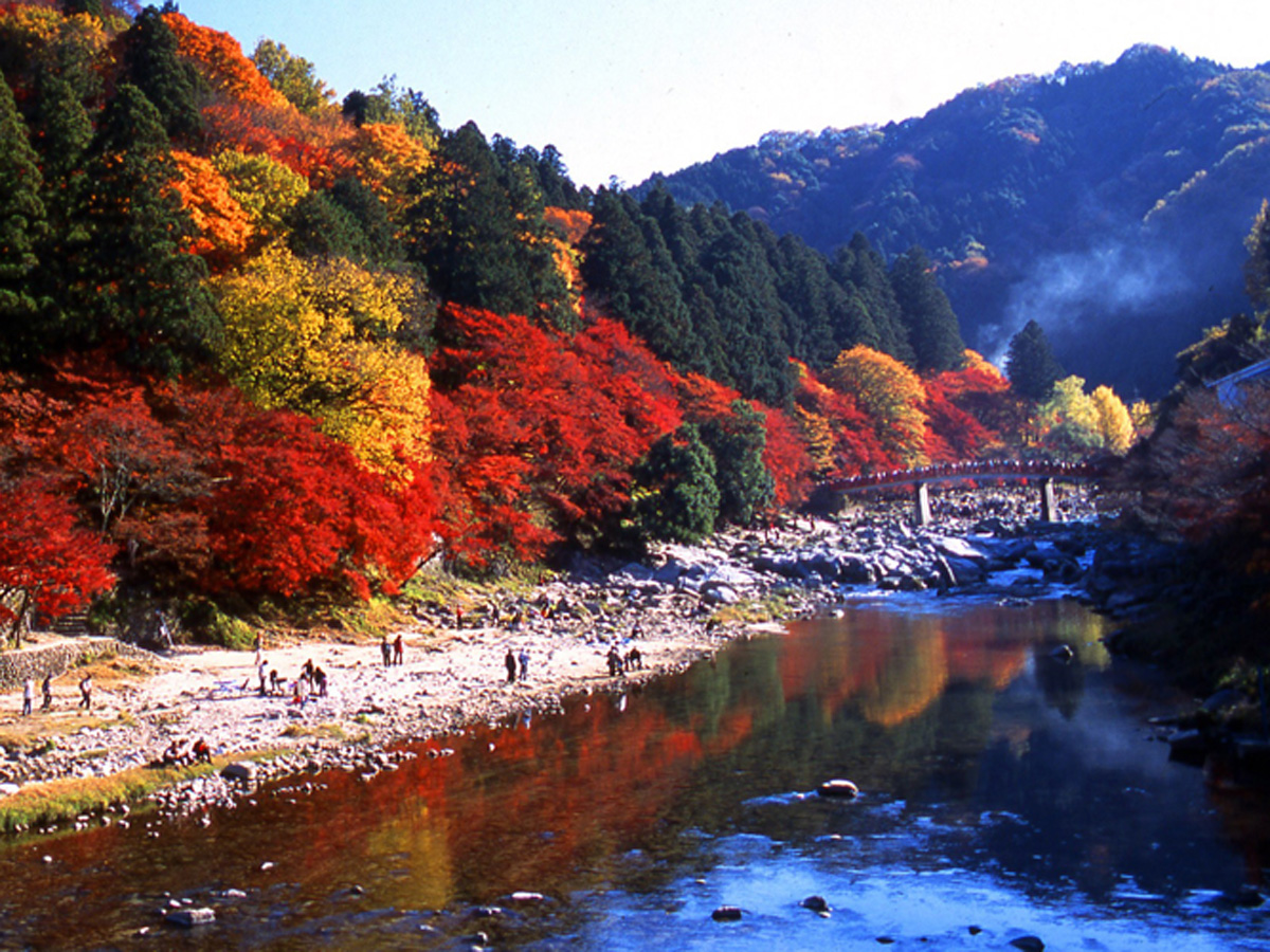 香嵐渓もみじまつり
