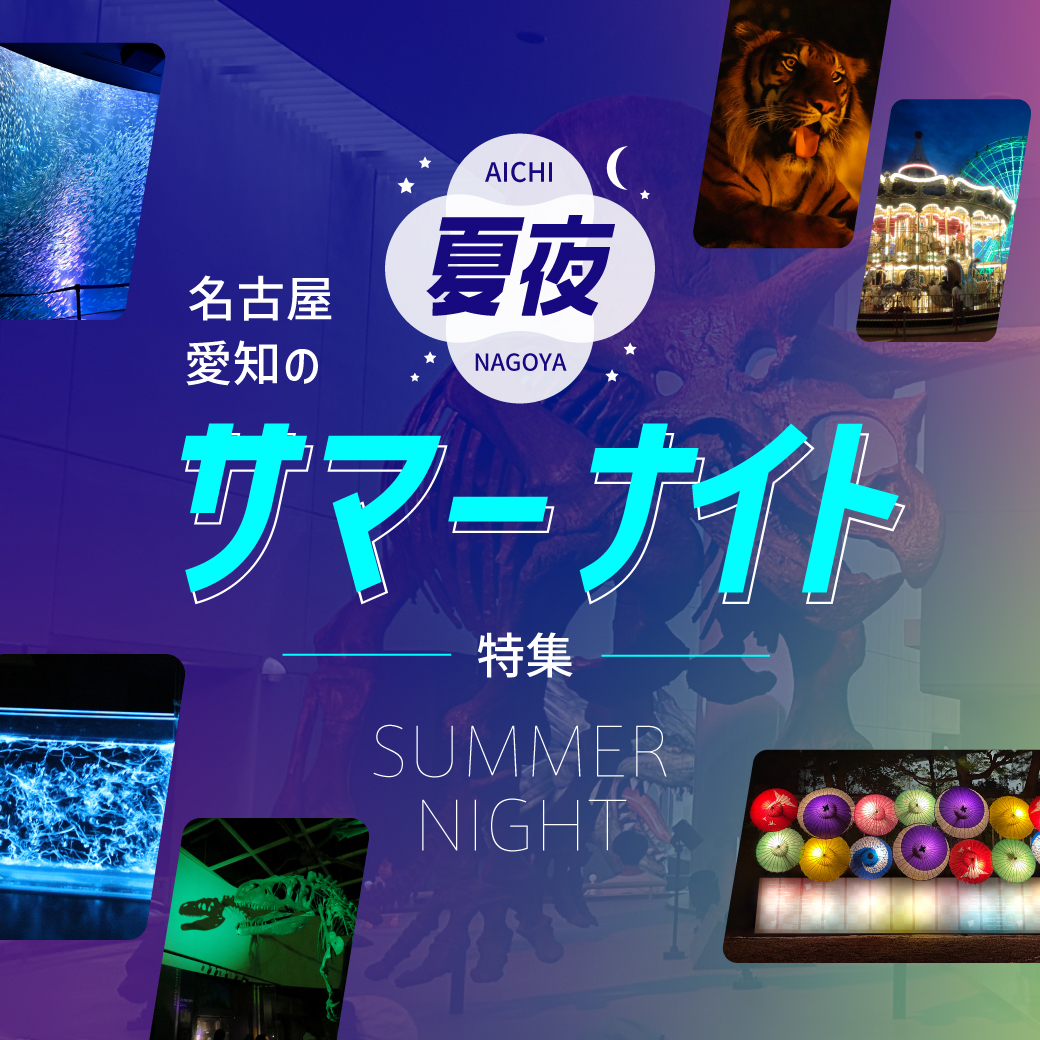 名古屋・愛知のサマーナイト特集