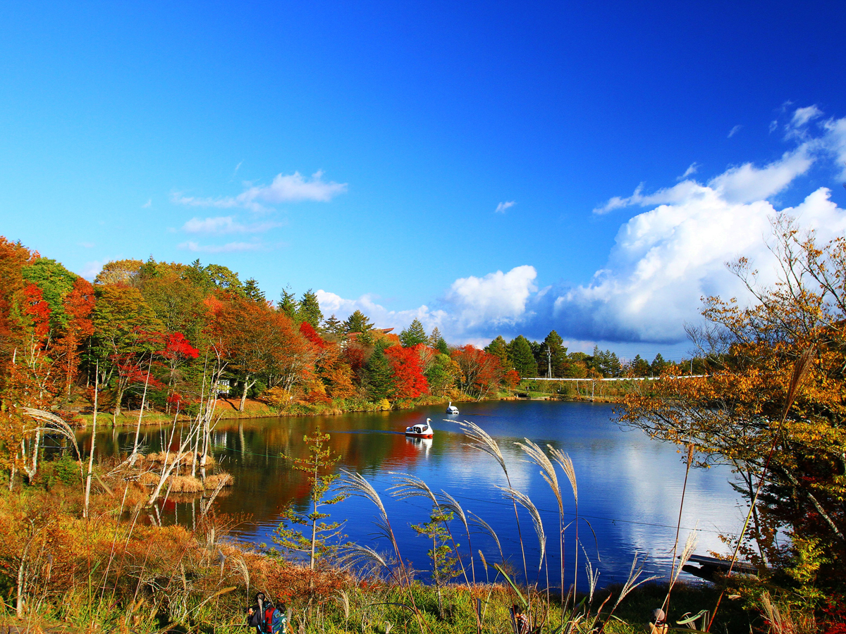 秋の茶臼山高原まつり