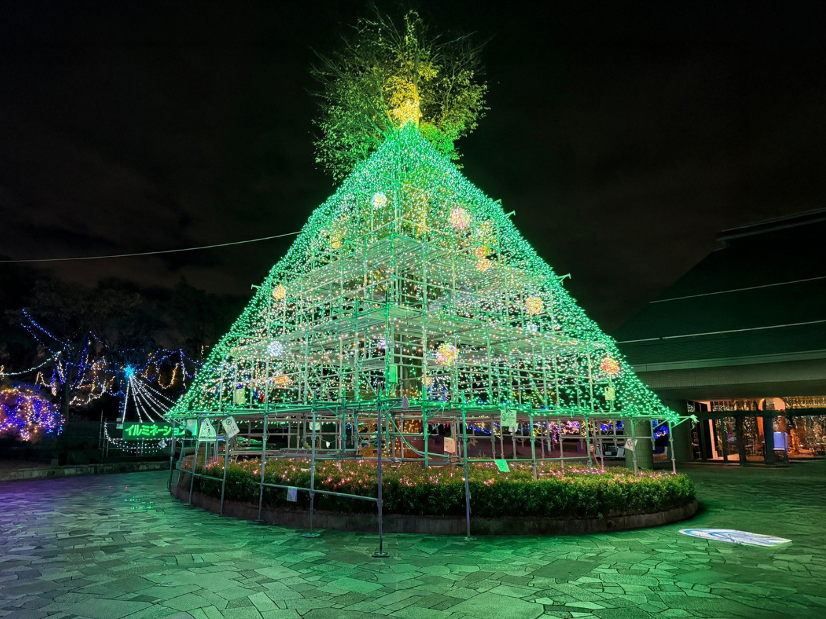 イルミネーションフェスタ in あま 2016　～JAPAN　古き良き日本～