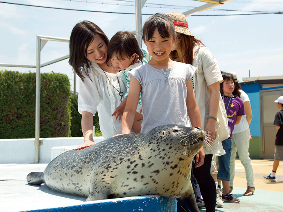 南知多ビーチランド＆南知多おもちゃ王国