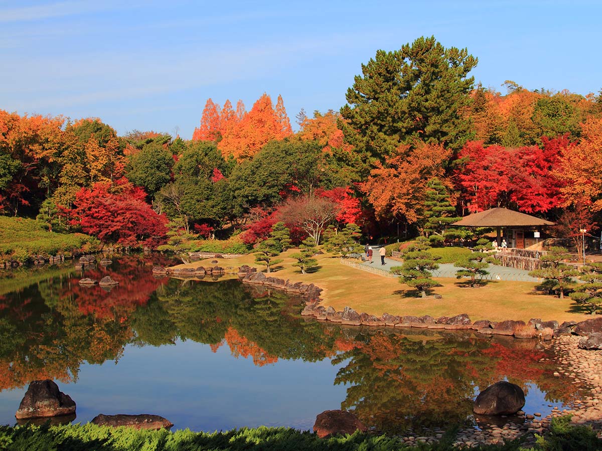 夢・彩・発見ふじおか紅葉まつり