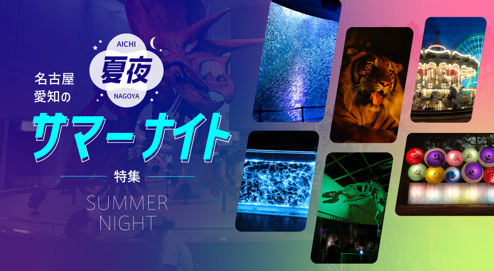 名古屋・愛知のサマーナイト特集