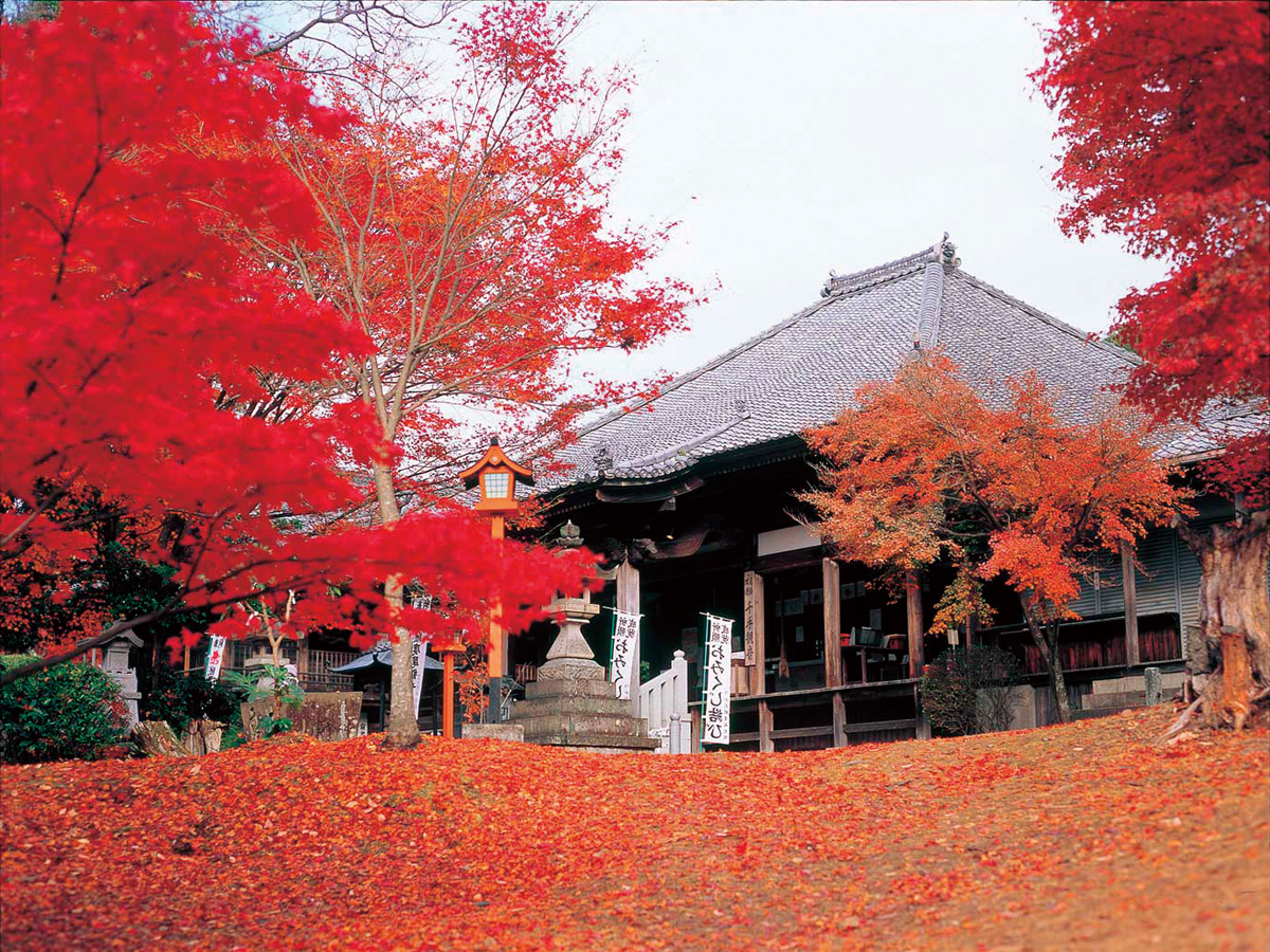 寂光院　紅葉まつり