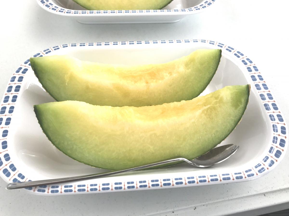蒲郡オレンジパーク