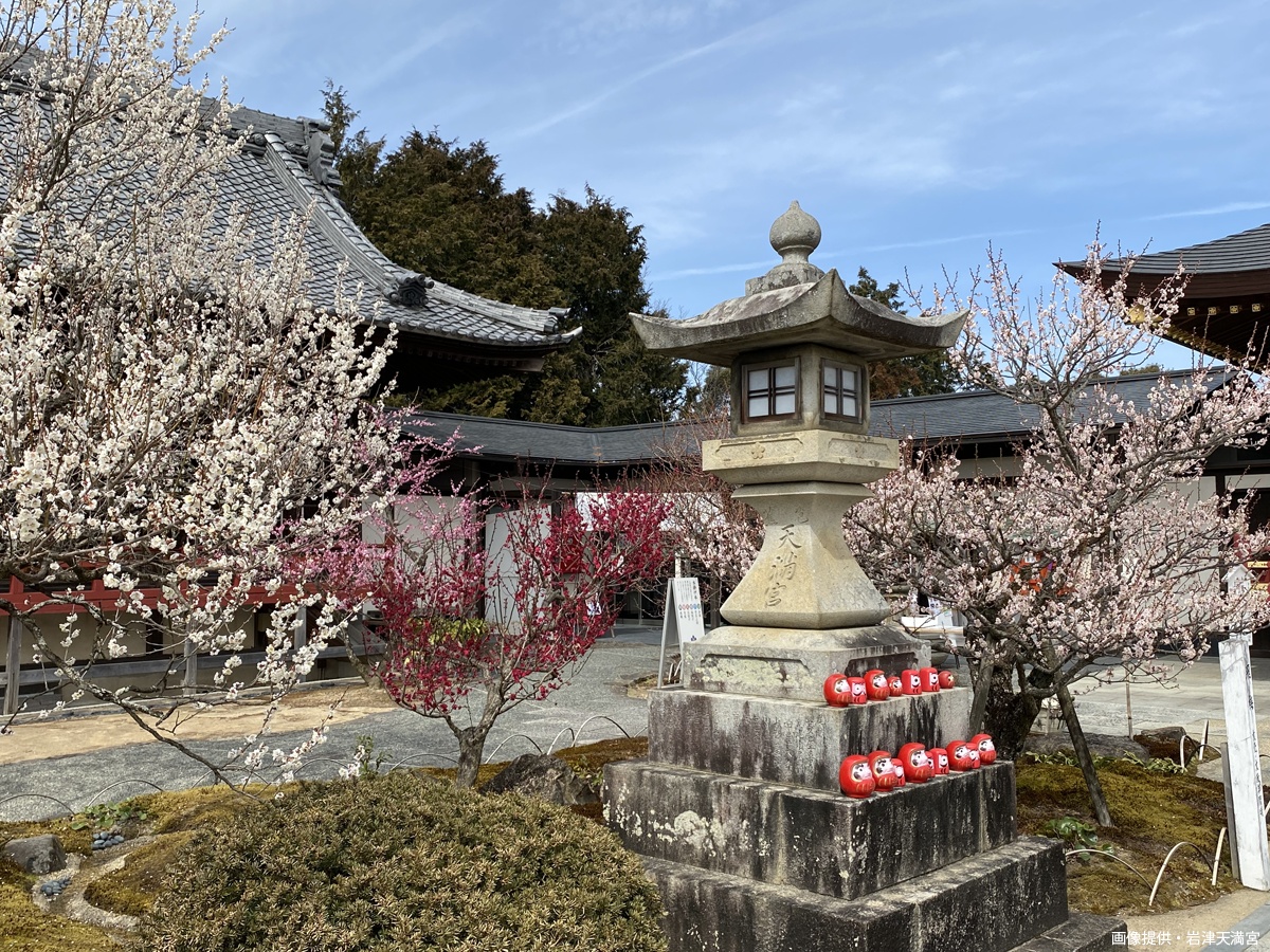 岩津天満宮　梅まつり