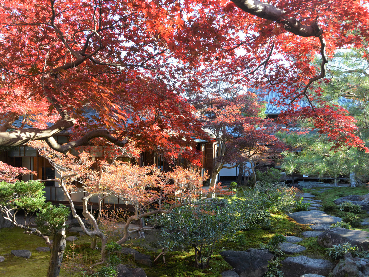 紅葉のおもてなし 旧林家住宅の秋