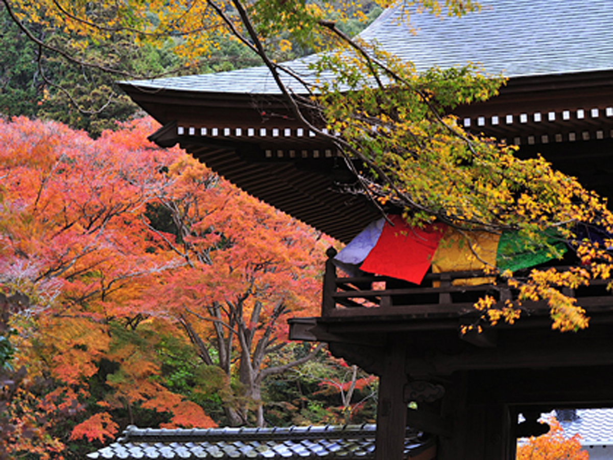 普門寺もみじ祭り