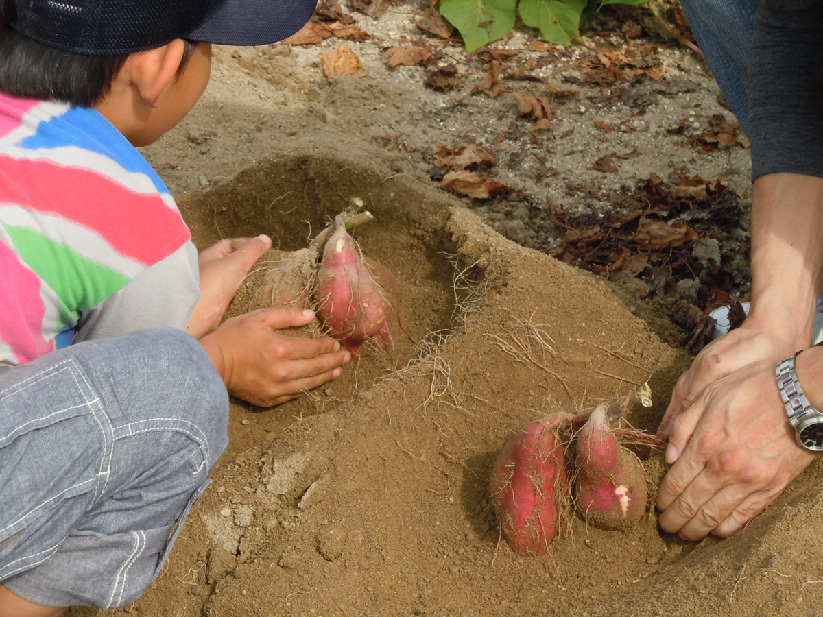 碧南市農業活性化センター　あおいパーク