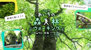 爽やかな風と森の香りにさそわれてリフレッシュ！