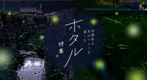 ホタル特集