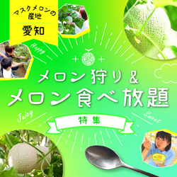 あいちのメロン狩り特集