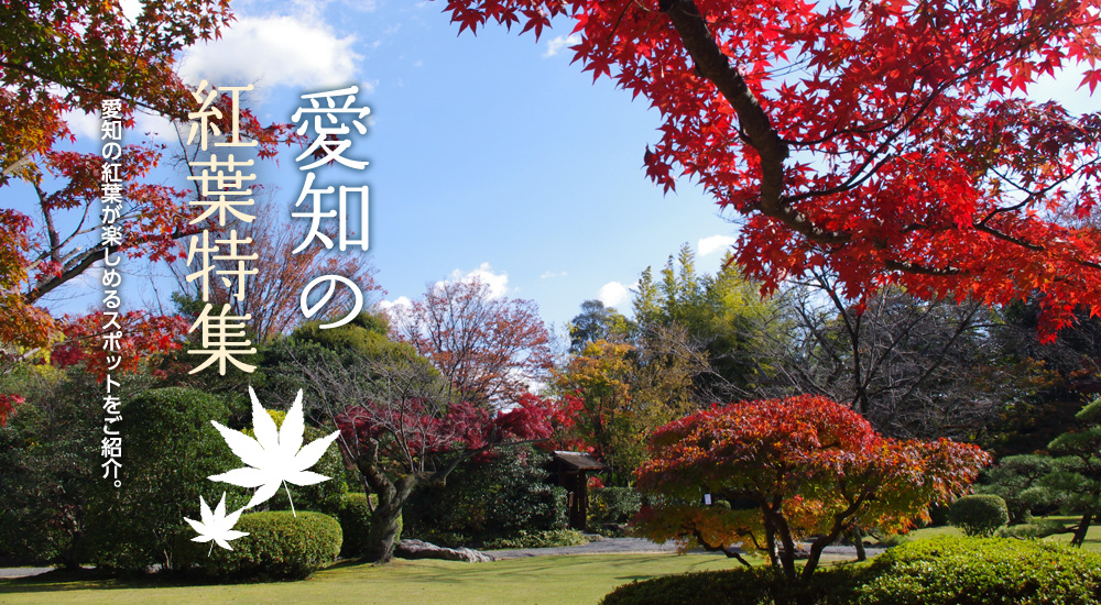 愛知の紅葉特集