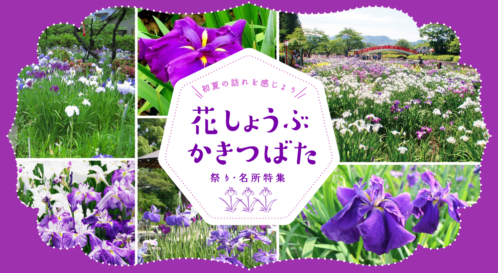 花しょうぶ＆かきつばた祭り・名所特集