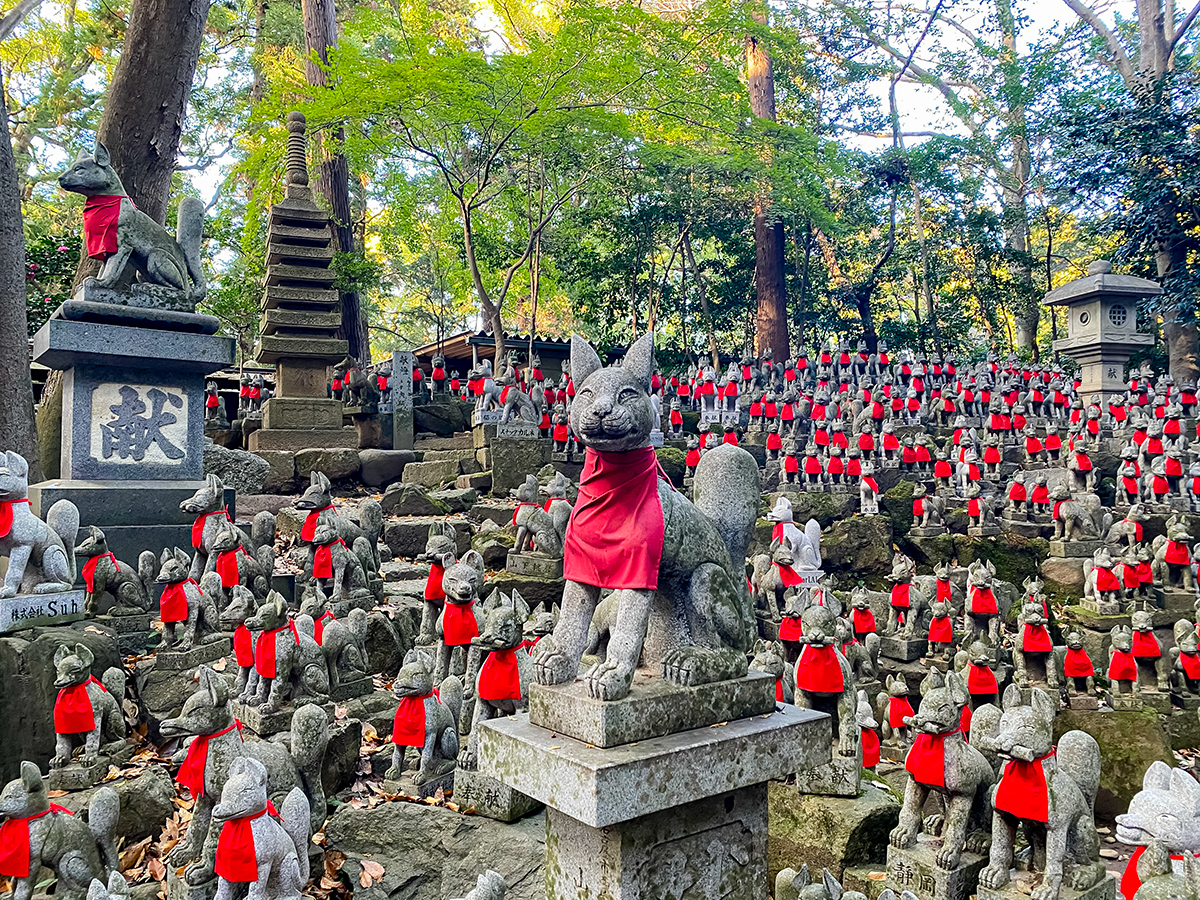 upload/recommend_course_languages/Traveling at the Boundary Where Nature and Human Life Intersect: Exploring Satoyama and Yamazato.