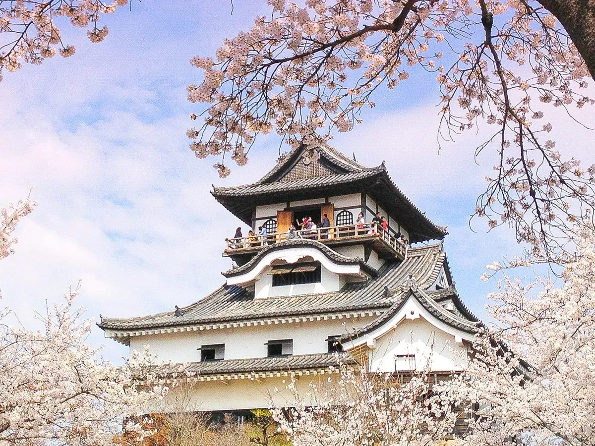 Spring surprises in northern Aichi