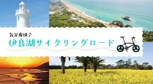 気分爽快♪伊良湖サイクリングロード