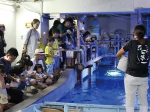 南知多ビーチランド