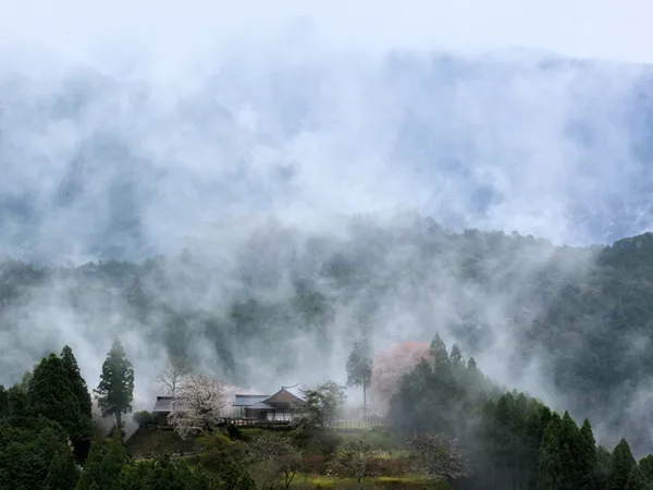 田峯城