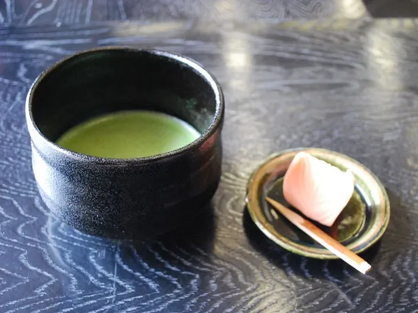 愛知県陶磁美術館(展示館・陶芸館)