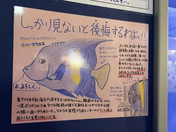 竹島水族館
