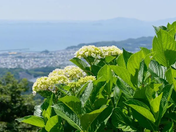 三ヶ根山スカイライン・三河湾スカイライン