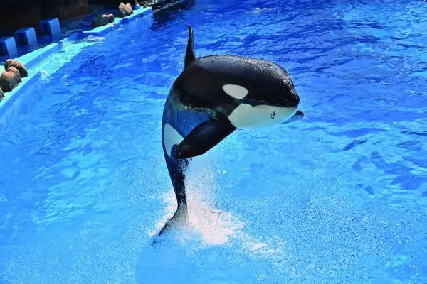 名古屋港水族館