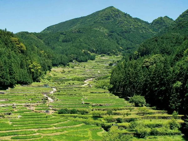 The unknown nature of Aichi: Drive along the grand sights of Okumikawa!