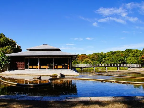 白鳥庭園