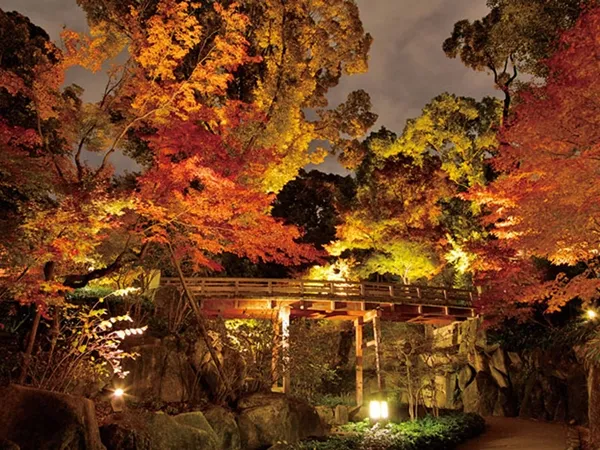 徳川園