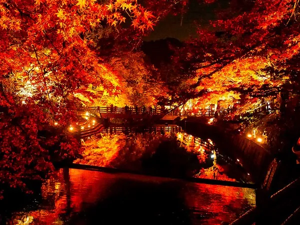 瀨戶陶瓷和紅葉之旅