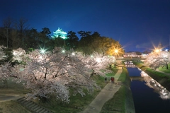 岡崎城・岡崎公園・三河武士のやかた家康館