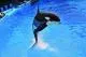 名古屋港水族館
