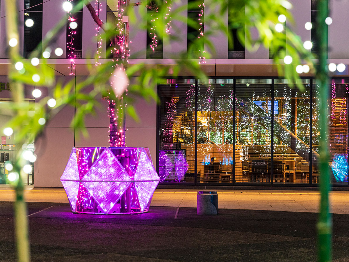 Ichinomiya Light Show