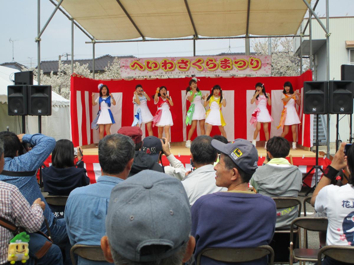和平樱花节