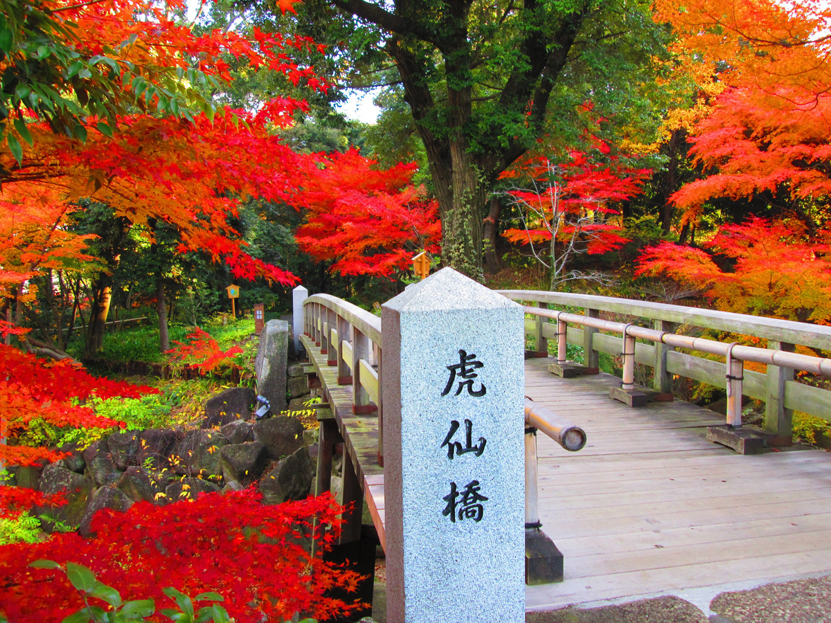 锦带缠绕　德川园　红叶节